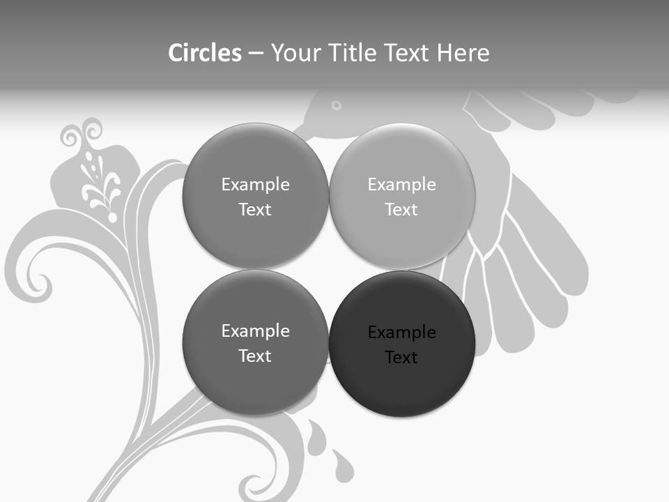 Unique Hummingbird And Flower Graphic Useful As Decoration And Ornament. Black Designs On A White Background. PowerPoint Template