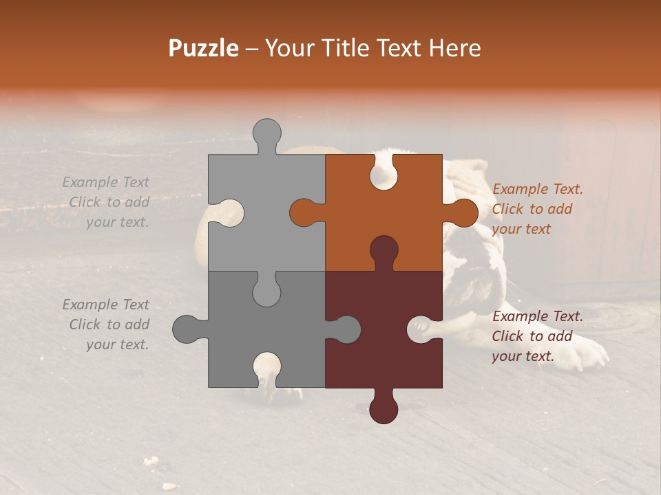 Serious Bulldog On The Florence Street. PowerPoint Template