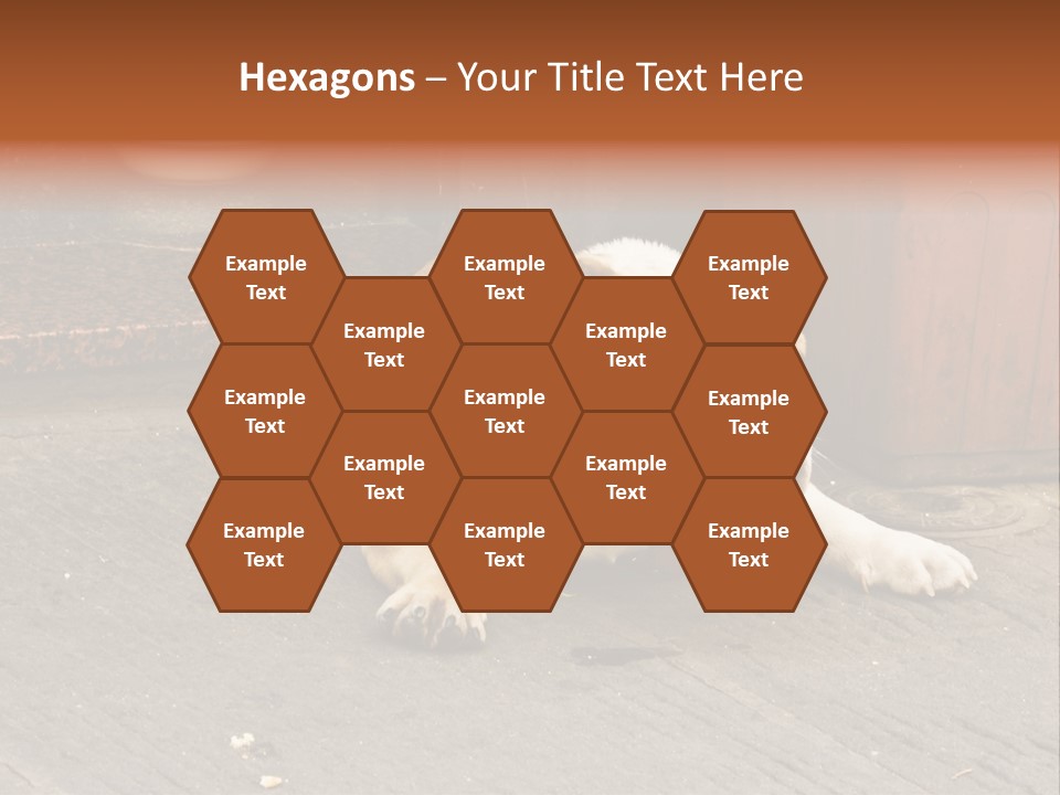 Serious Bulldog On The Florence Street. PowerPoint Template