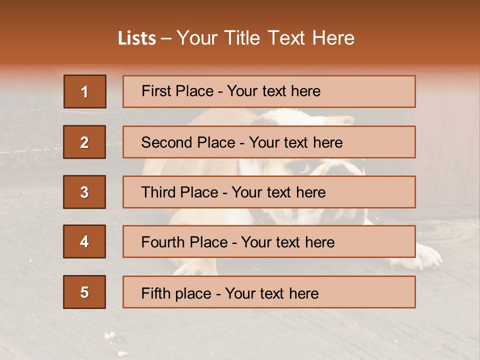 Serious Bulldog On The Florence Street. PowerPoint Template