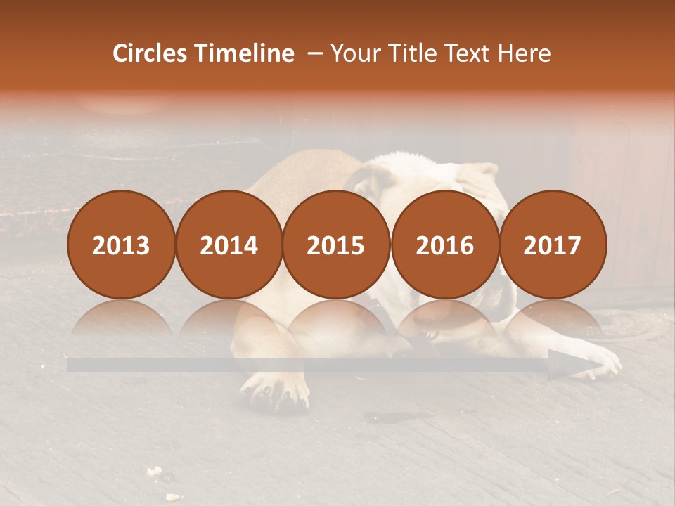 Serious Bulldog On The Florence Street. PowerPoint Template