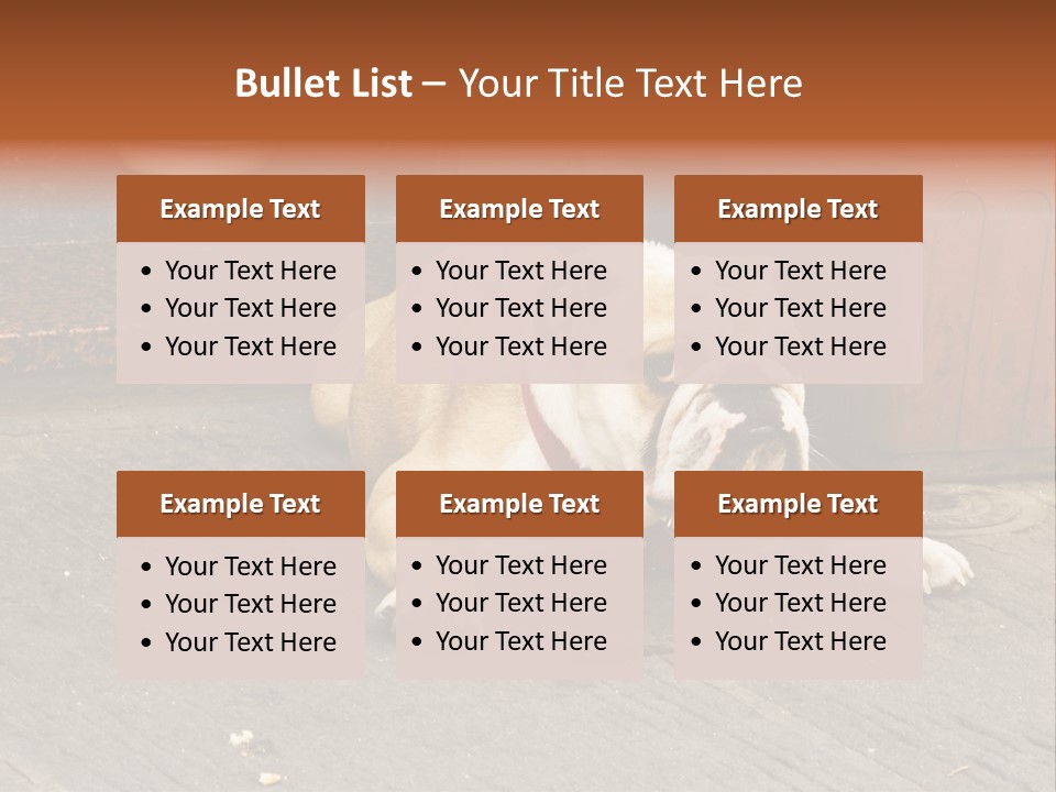 Serious Bulldog On The Florence Street. PowerPoint Template