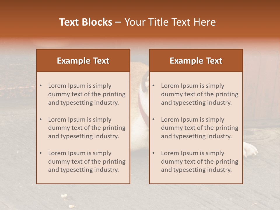 Serious Bulldog On The Florence Street. PowerPoint Template