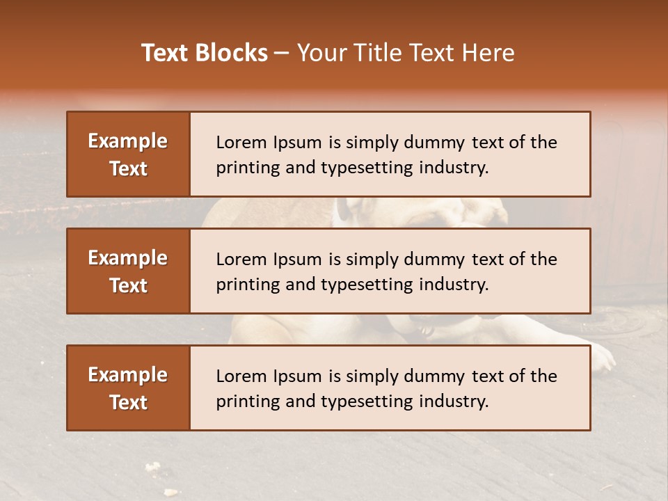 Serious Bulldog On The Florence Street. PowerPoint Template