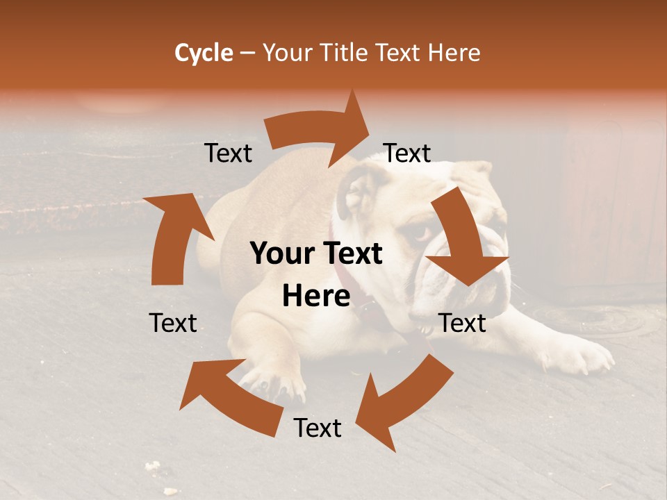 Serious Bulldog On The Florence Street. PowerPoint Template