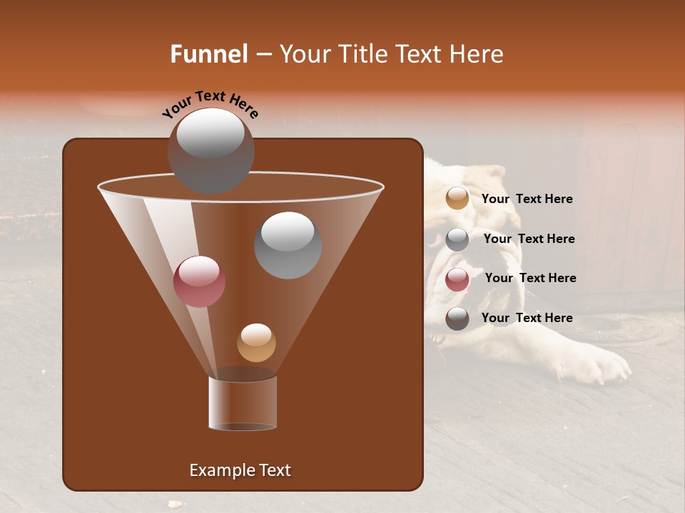 Serious Bulldog On The Florence Street. PowerPoint Template