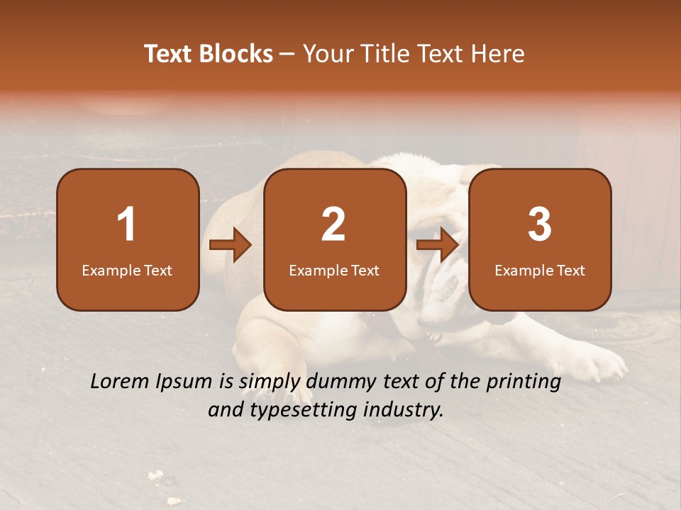 Serious Bulldog On The Florence Street. PowerPoint Template