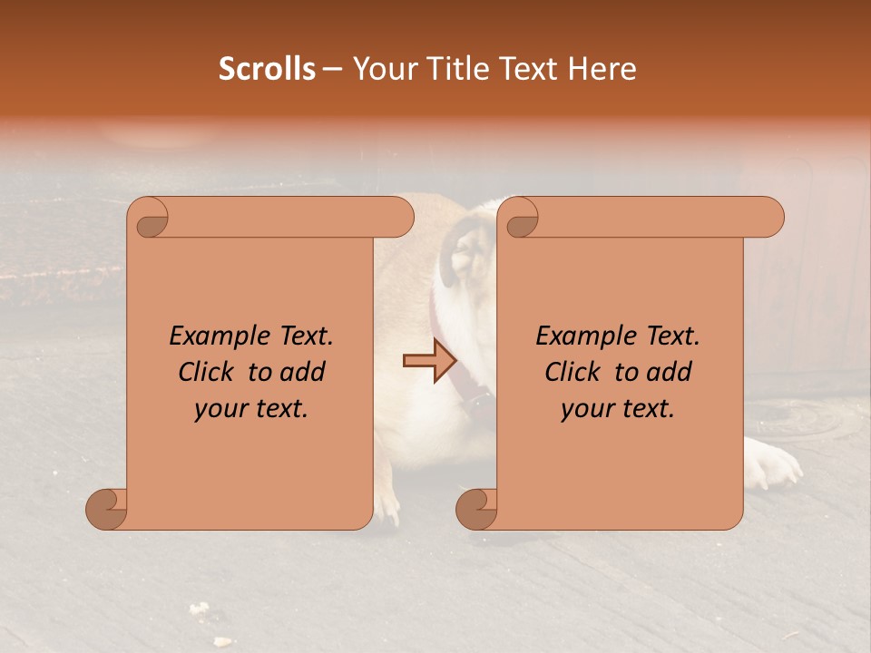 Serious Bulldog On The Florence Street. PowerPoint Template