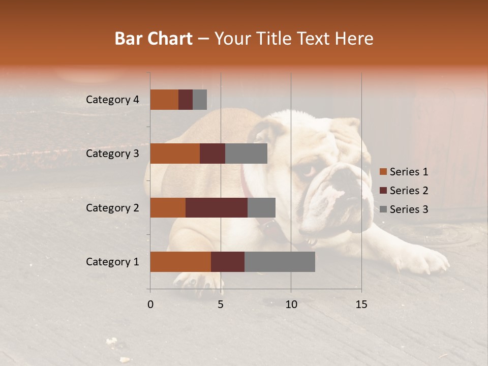 Serious Bulldog On The Florence Street. PowerPoint Template