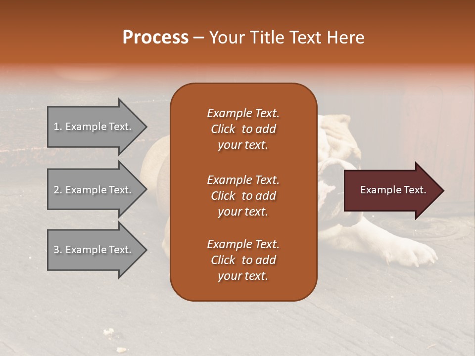 Serious Bulldog On The Florence Street. PowerPoint Template