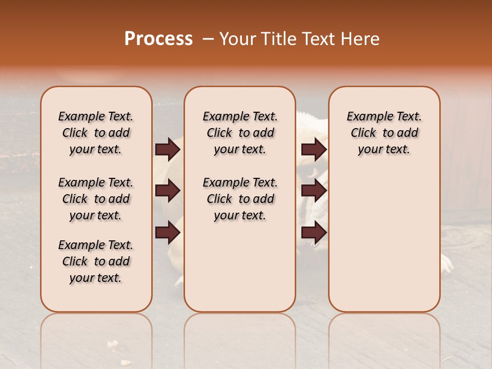 Serious Bulldog On The Florence Street. PowerPoint Template