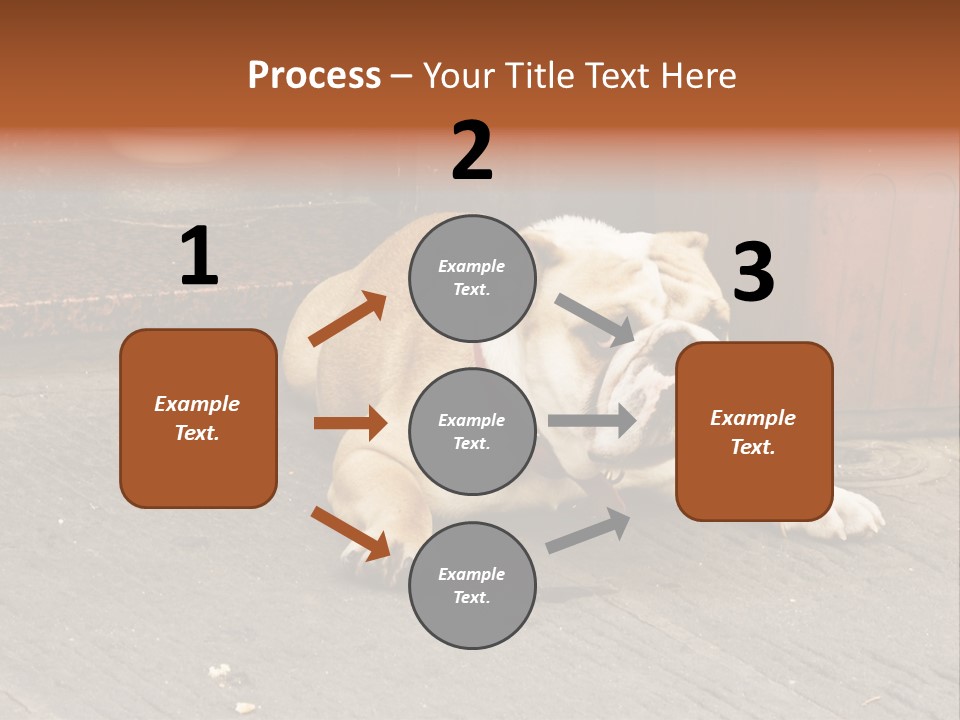 Serious Bulldog On The Florence Street. PowerPoint Template