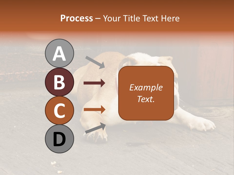 Serious Bulldog On The Florence Street. PowerPoint Template