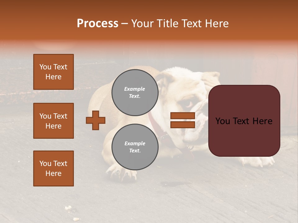 Serious Bulldog On The Florence Street. PowerPoint Template