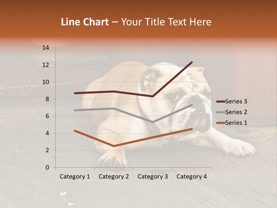 Serious Bulldog On The Florence Street. PowerPoint Template