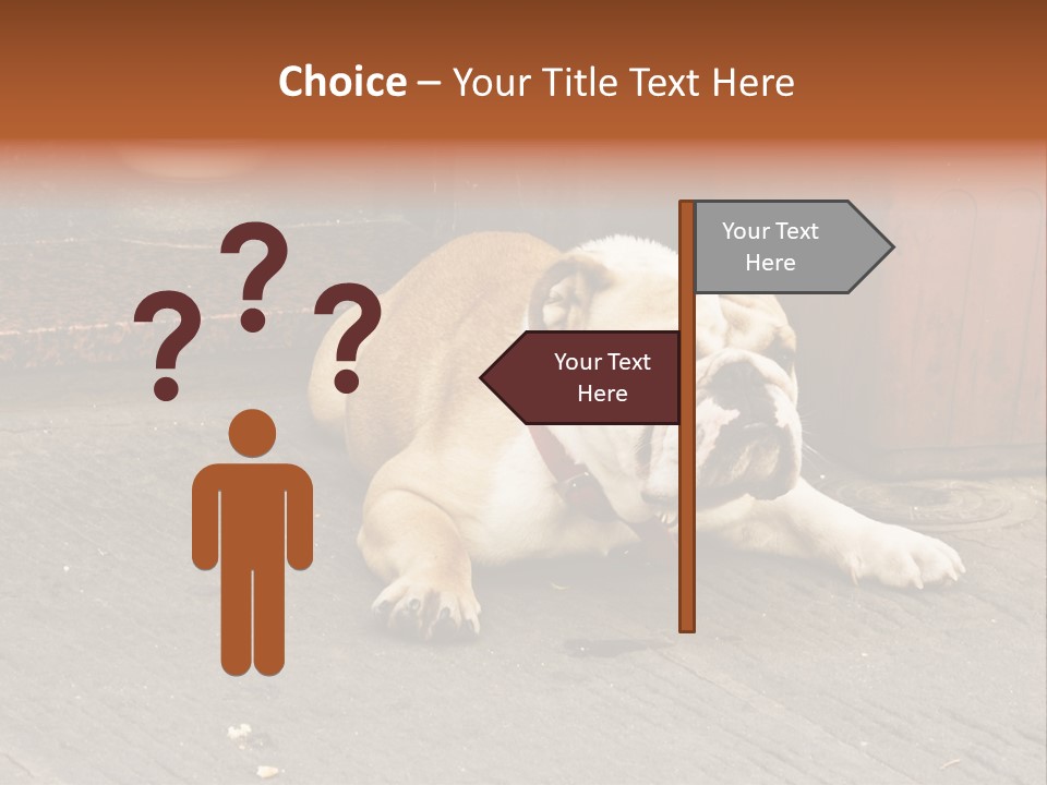 Serious Bulldog On The Florence Street. PowerPoint Template