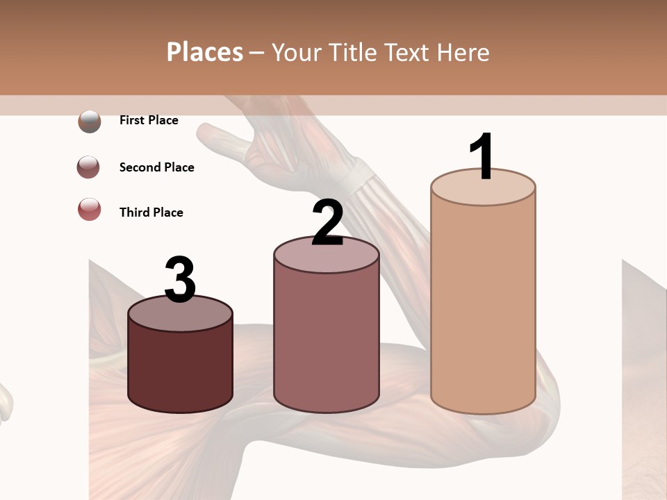 A Medical Powerpoint Presentation With Muscles And Bones PowerPoint Template