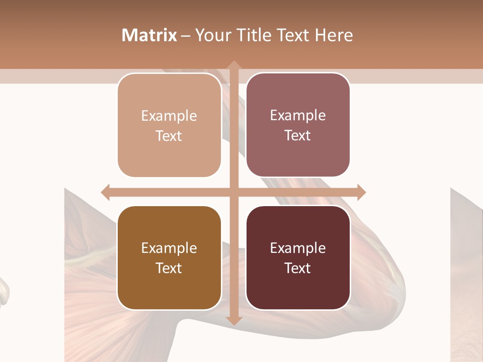 A Medical Powerpoint Presentation With Muscles And Bones PowerPoint Template