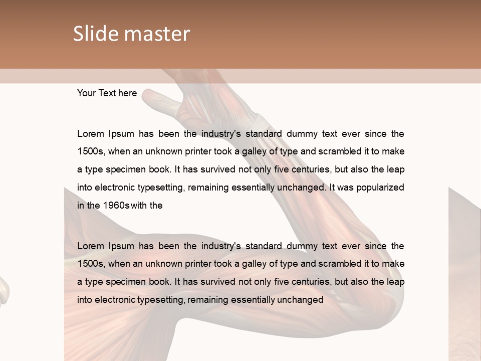 A Medical Powerpoint Presentation With Muscles And Bones PowerPoint Template