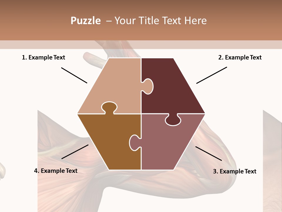 A Medical Powerpoint Presentation With Muscles And Bones PowerPoint Template