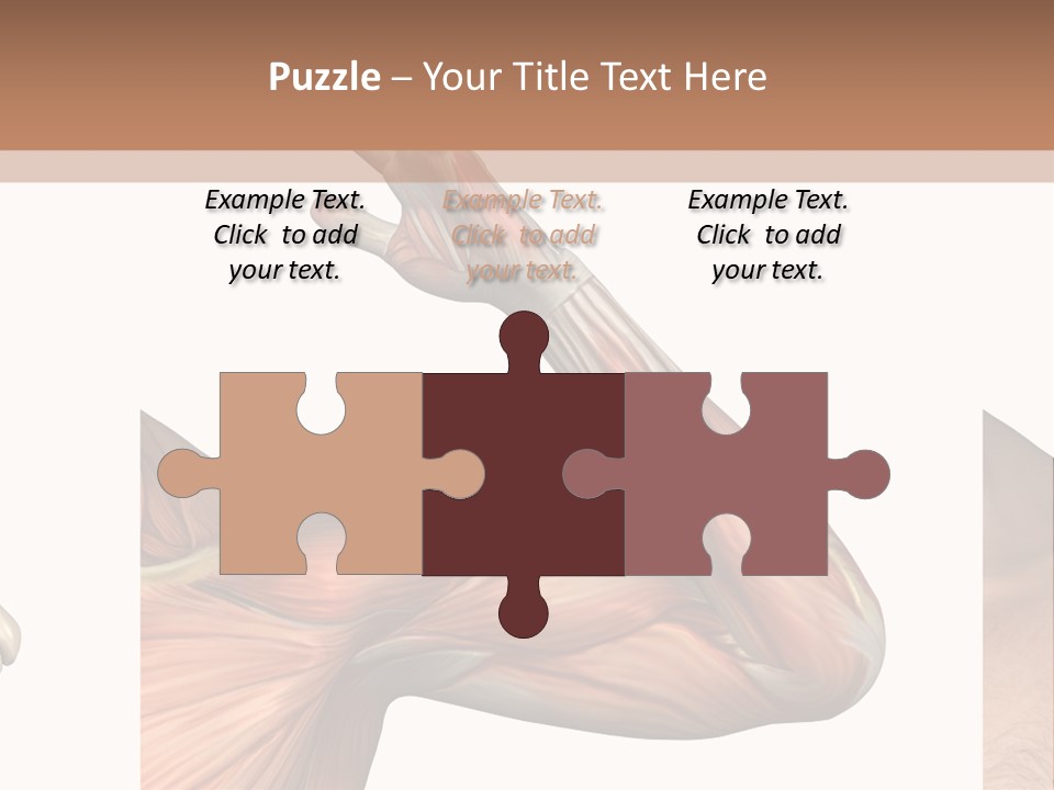 A Medical Powerpoint Presentation With Muscles And Bones PowerPoint Template