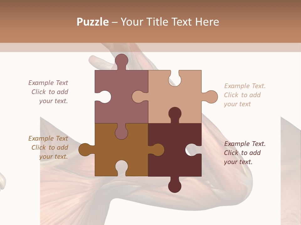 A Medical Powerpoint Presentation With Muscles And Bones PowerPoint Template