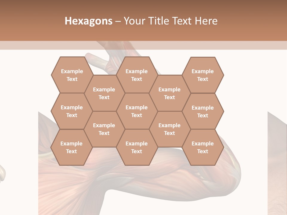 A Medical Powerpoint Presentation With Muscles And Bones PowerPoint Template