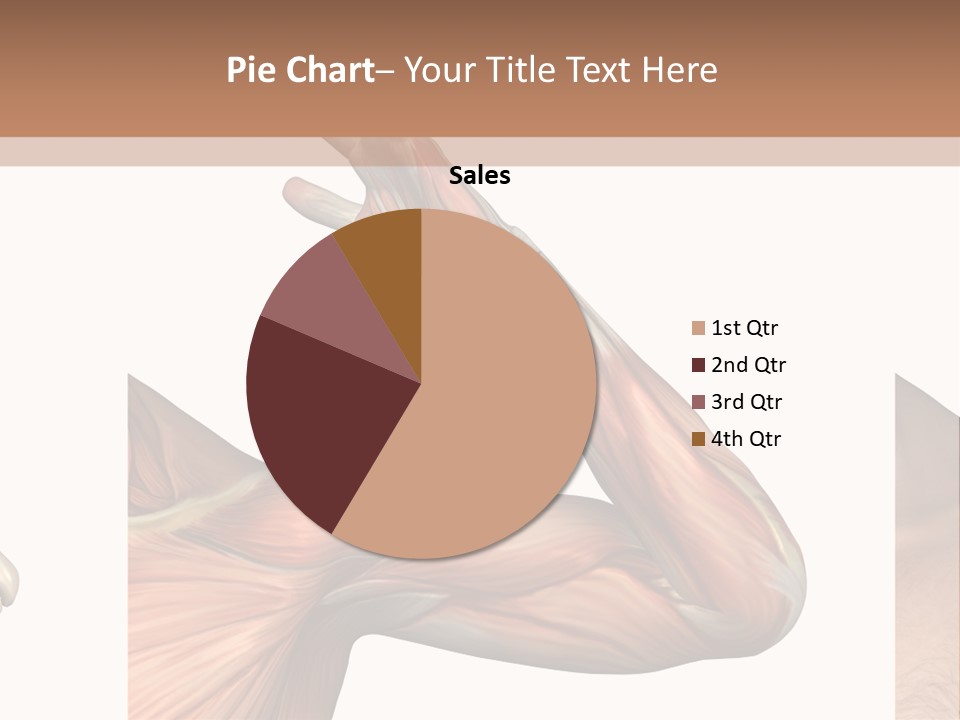 A Medical Powerpoint Presentation With Muscles And Bones PowerPoint Template