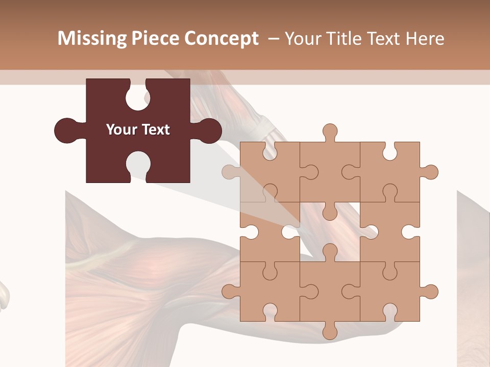 A Medical Powerpoint Presentation With Muscles And Bones PowerPoint Template