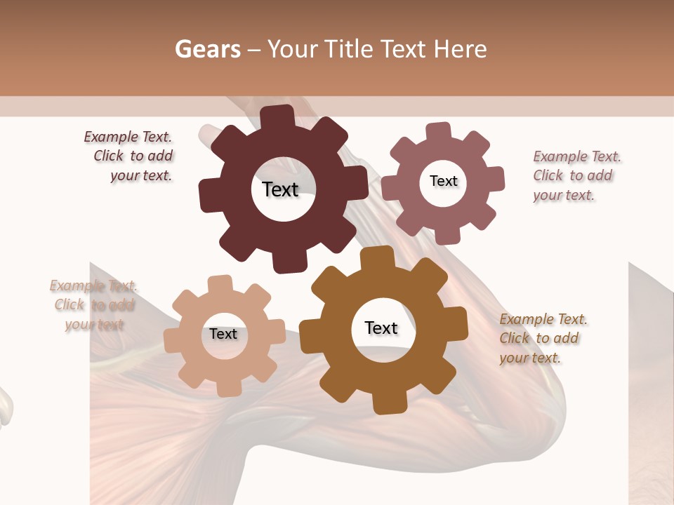 A Medical Powerpoint Presentation With Muscles And Bones PowerPoint Template