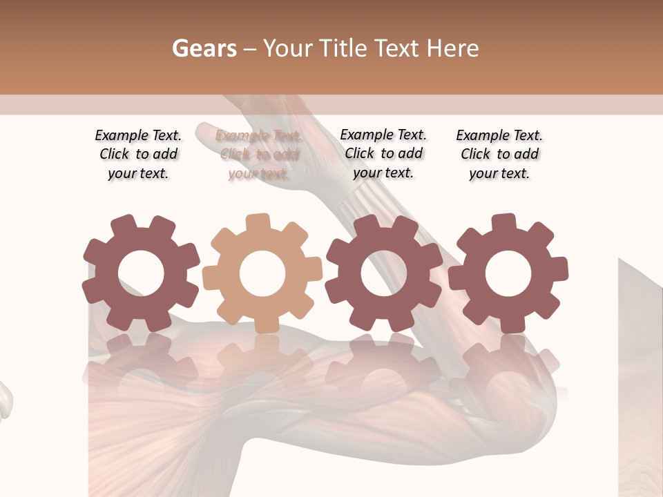 A Medical Powerpoint Presentation With Muscles And Bones PowerPoint Template