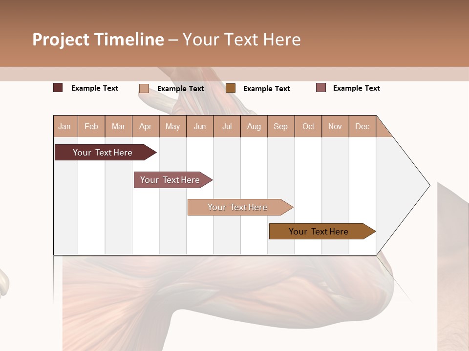 A Medical Powerpoint Presentation With Muscles And Bones PowerPoint Template