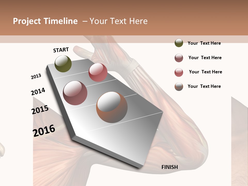 A Medical Powerpoint Presentation With Muscles And Bones PowerPoint Template