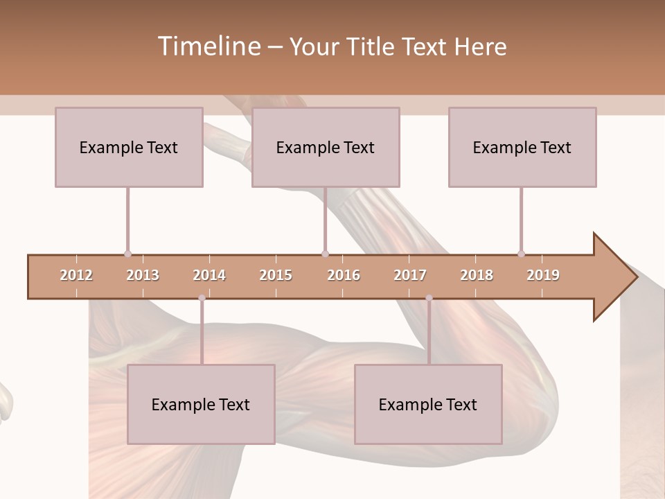 A Medical Powerpoint Presentation With Muscles And Bones PowerPoint Template