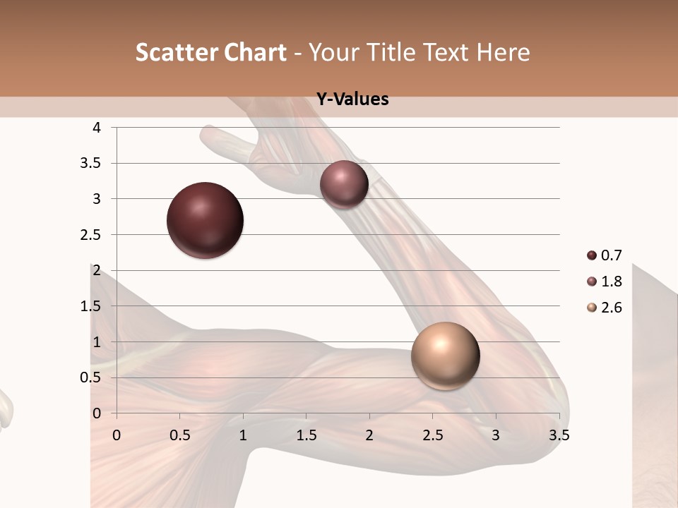 A Medical Powerpoint Presentation With Muscles And Bones PowerPoint Template