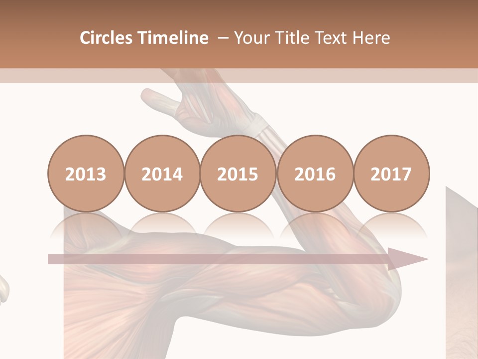 A Medical Powerpoint Presentation With Muscles And Bones PowerPoint Template