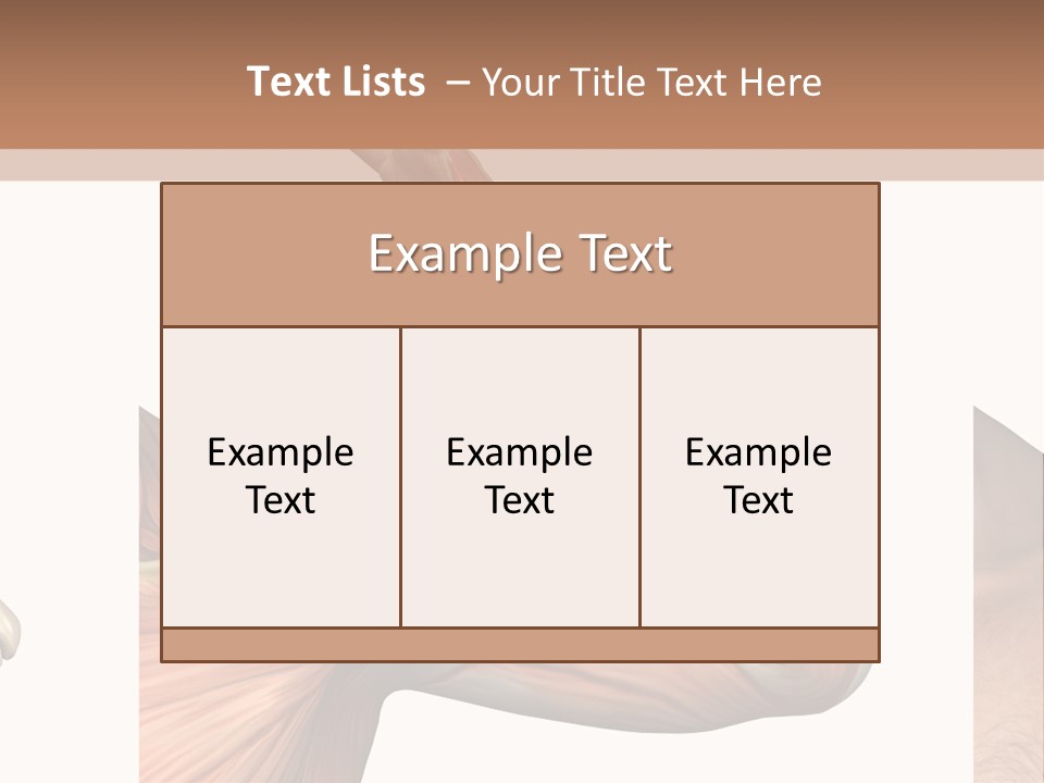 A Medical Powerpoint Presentation With Muscles And Bones PowerPoint Template