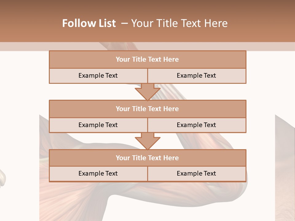 A Medical Powerpoint Presentation With Muscles And Bones PowerPoint Template
