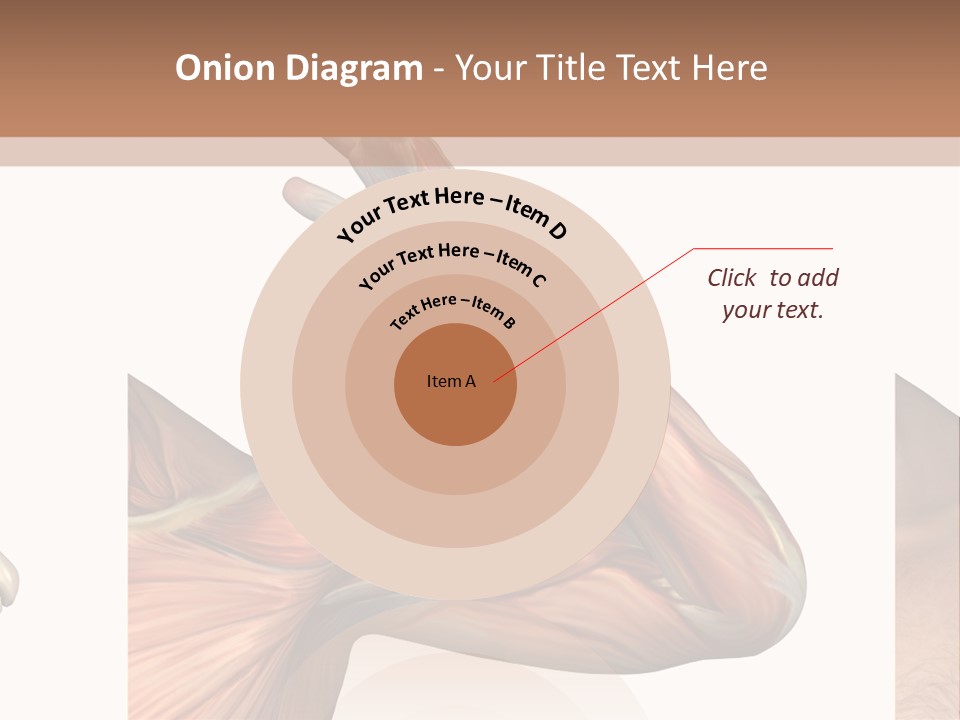 A Medical Powerpoint Presentation With Muscles And Bones PowerPoint Template