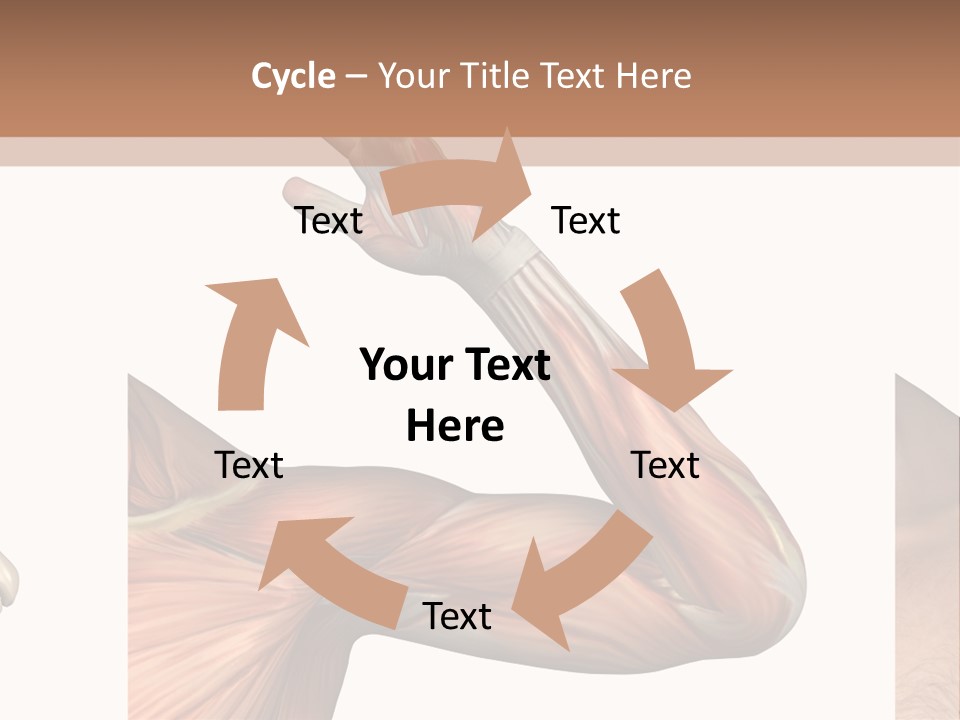 A Medical Powerpoint Presentation With Muscles And Bones PowerPoint Template