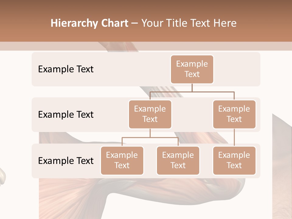 A Medical Powerpoint Presentation With Muscles And Bones PowerPoint Template