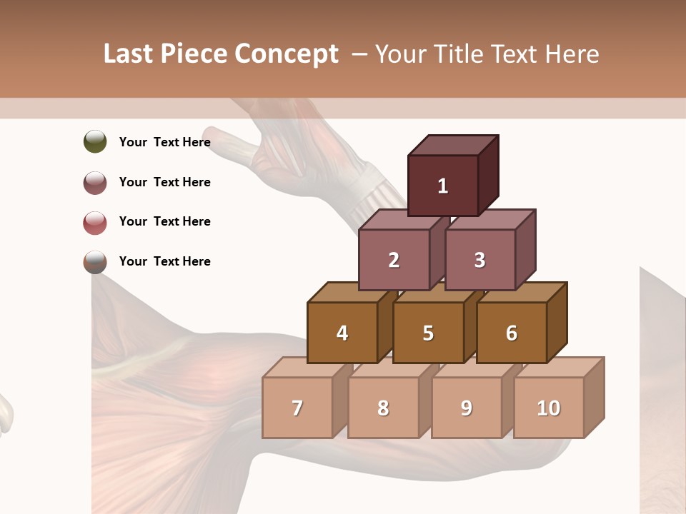 A Medical Powerpoint Presentation With Muscles And Bones PowerPoint Template