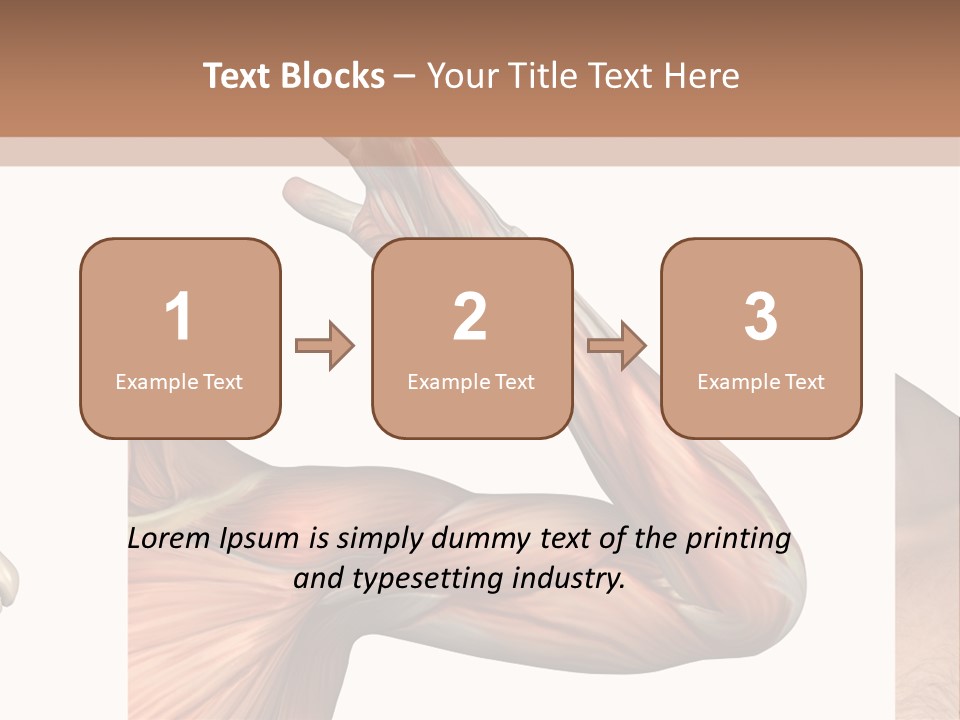 A Medical Powerpoint Presentation With Muscles And Bones PowerPoint Template