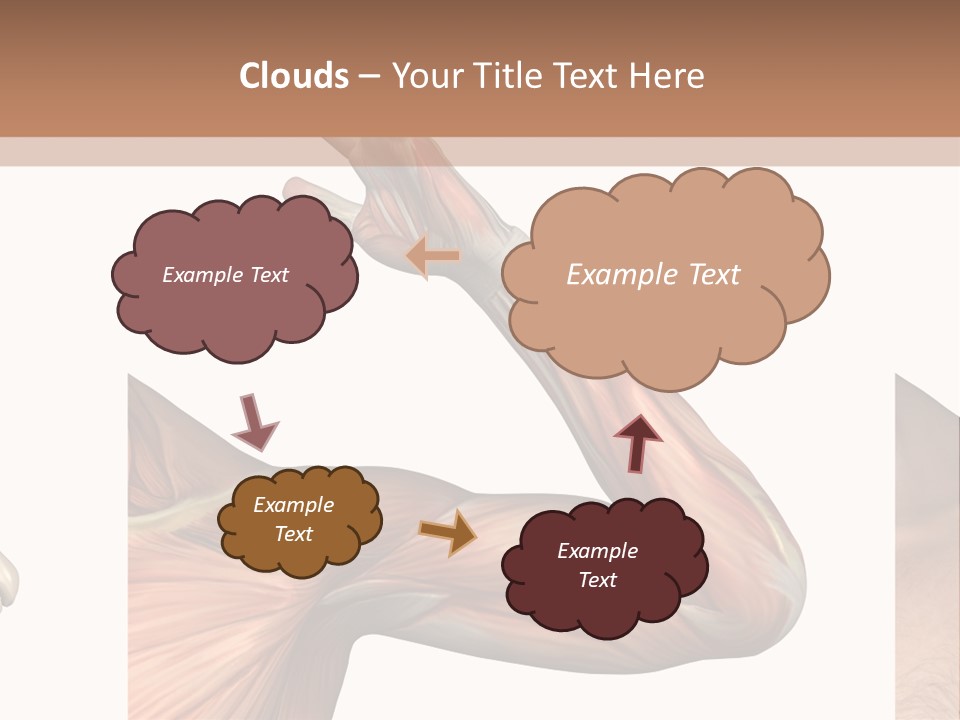 A Medical Powerpoint Presentation With Muscles And Bones PowerPoint Template