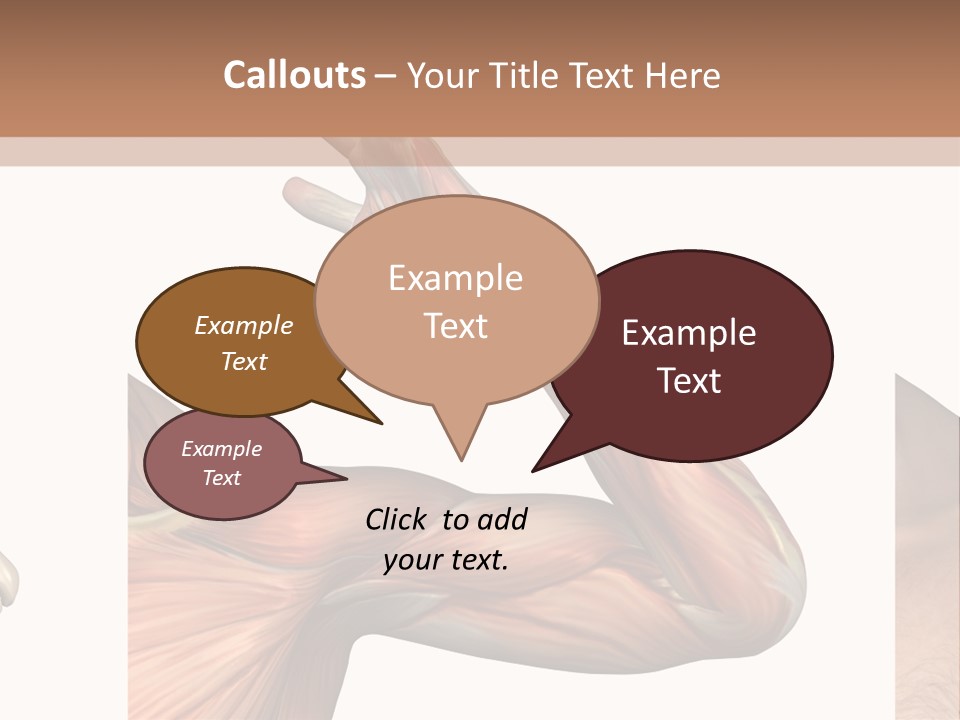 A Medical Powerpoint Presentation With Muscles And Bones PowerPoint Template