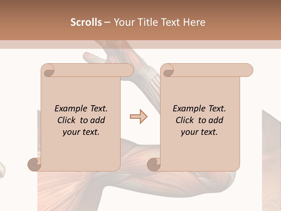 A Medical Powerpoint Presentation With Muscles And Bones PowerPoint Template