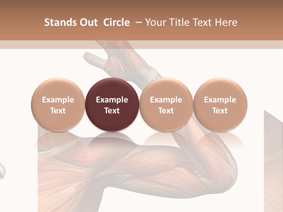 A Medical Powerpoint Presentation With Muscles And Bones PowerPoint Template