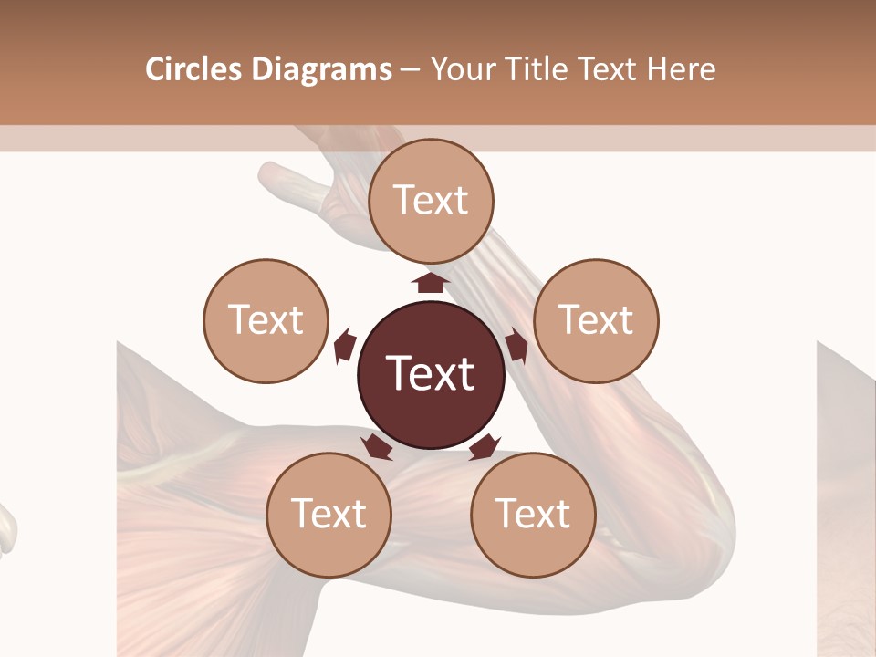 A Medical Powerpoint Presentation With Muscles And Bones PowerPoint Template