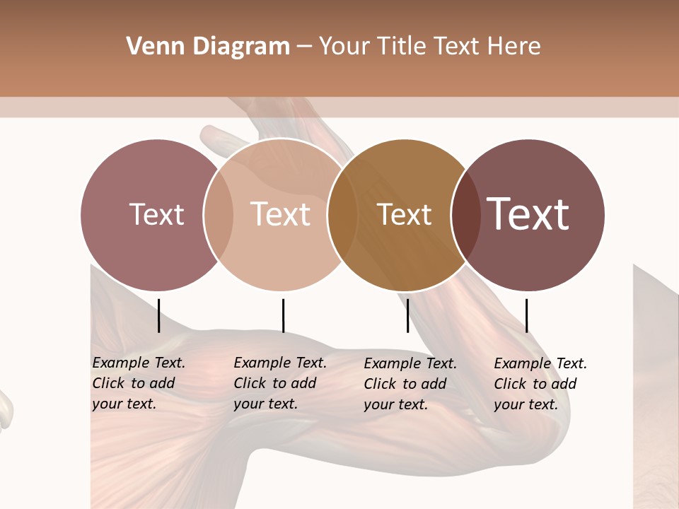 A Medical Powerpoint Presentation With Muscles And Bones PowerPoint Template