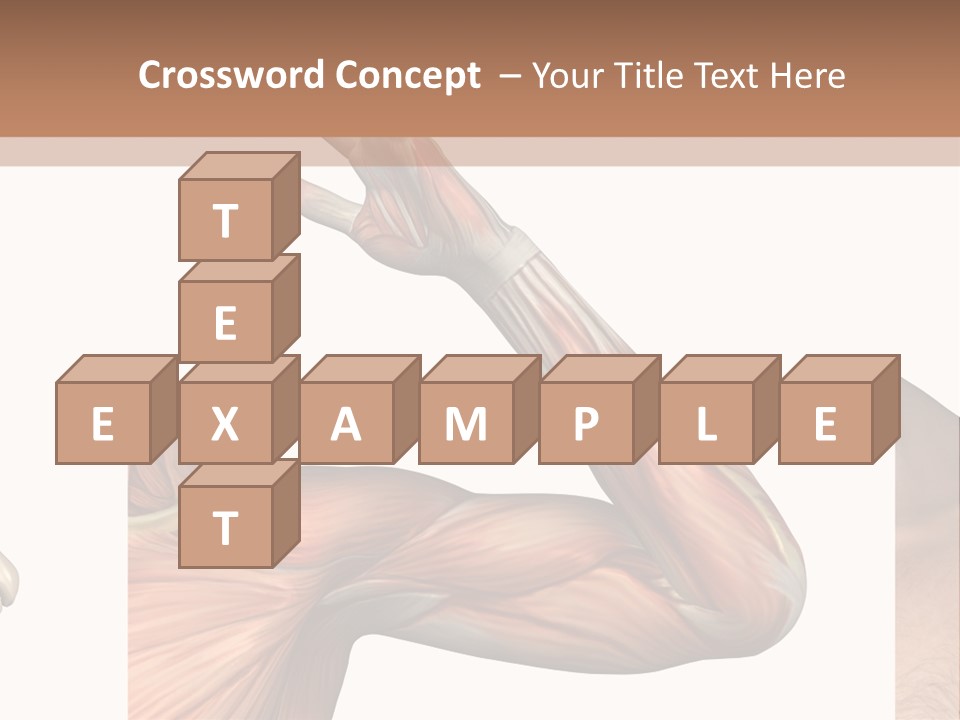 A Medical Powerpoint Presentation With Muscles And Bones PowerPoint Template